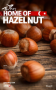 Hazelnut.png