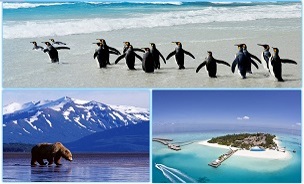 PRIVATE INDIVIDUAL AND GROUP TOURS